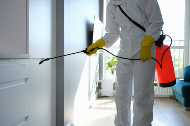 Crawl Space Mold Removal in Avon By The Sea, NJ
